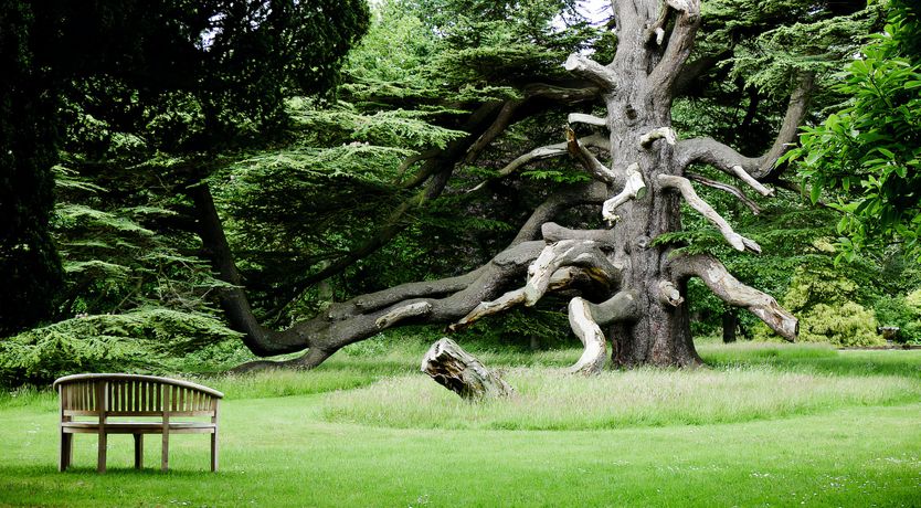 Photo of The Fitz Mansion