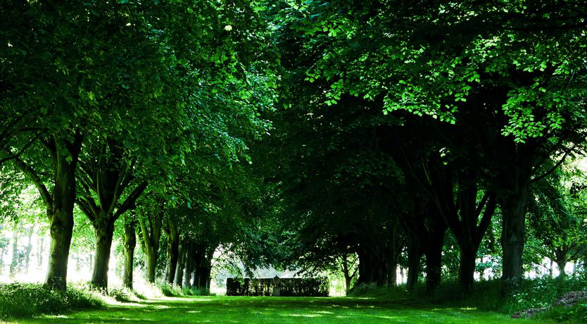 Photo of The Fitz Mansion