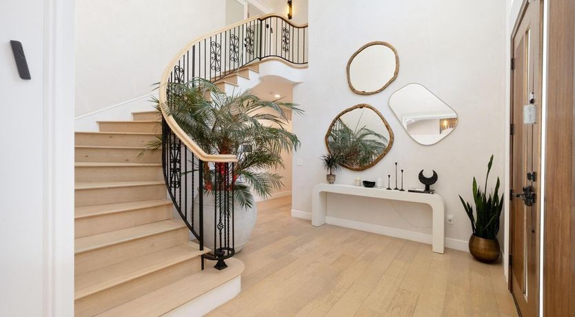 Photo of Urbane Jungle