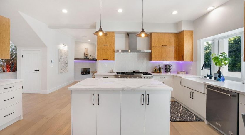 Photo of Urbane Jungle