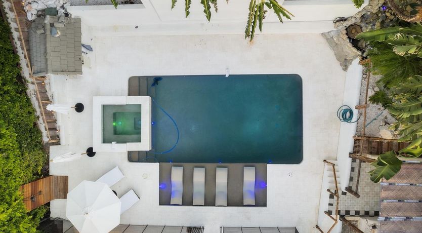 Photo of Urbane Jungle