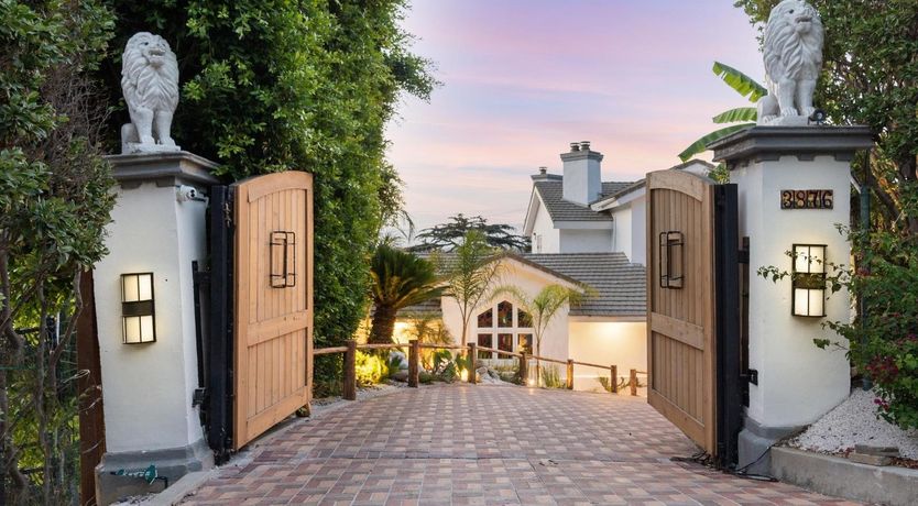 Photo of Urbane Jungle