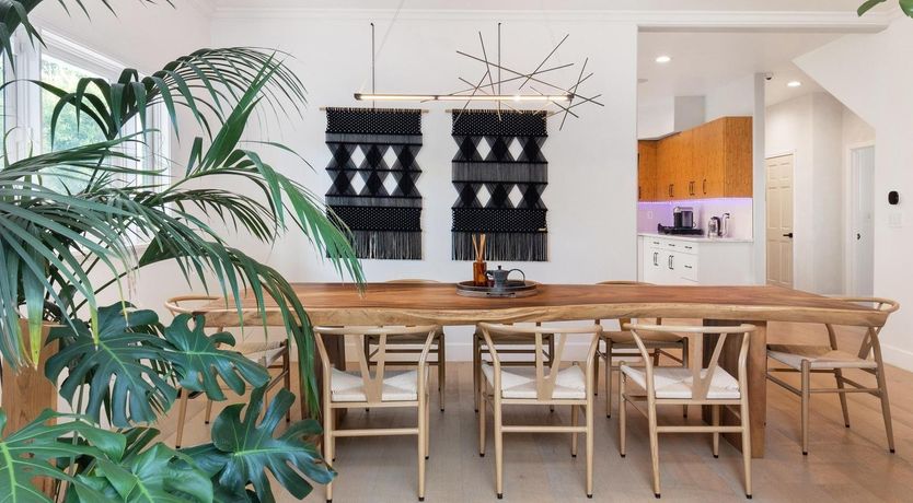 Photo of Urbane Jungle