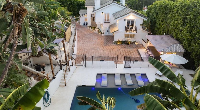 Photo of Urbane Jungle