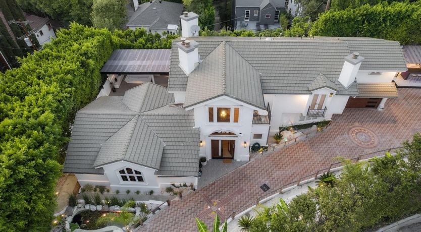 Photo of Urbane Jungle