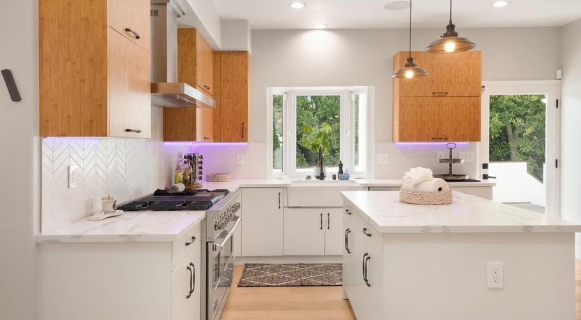 Photo of Urbane Jungle