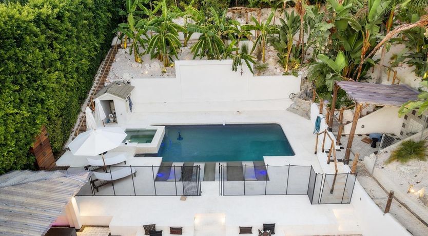 Photo of Urbane Jungle