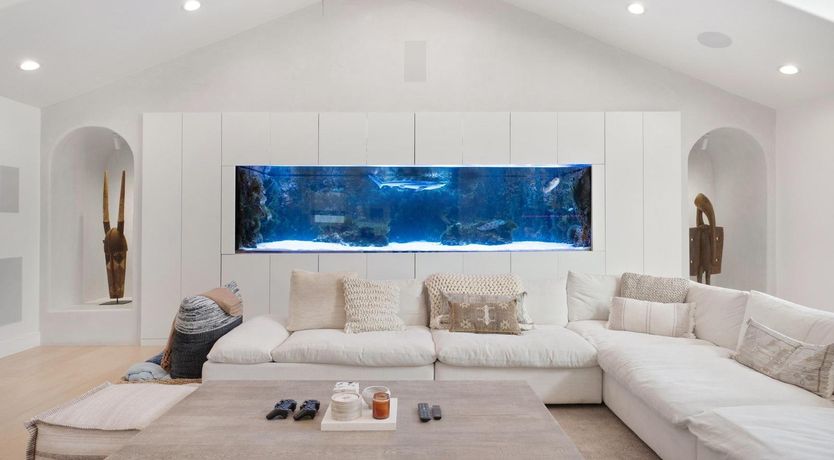 Photo of Urbane Jungle