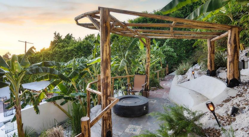 Photo of Urbane Jungle