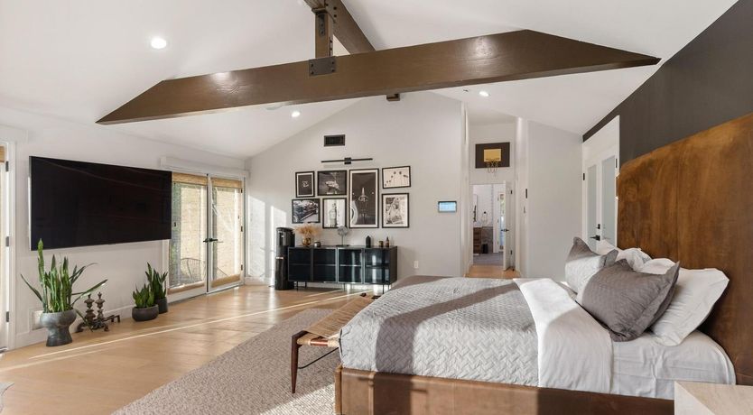 Photo of Urbane Jungle