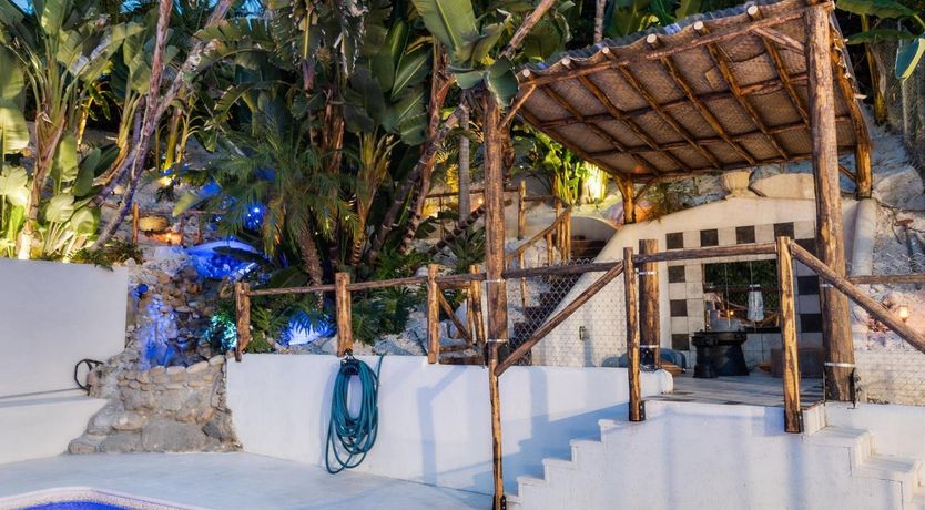 Photo of Urbane Jungle