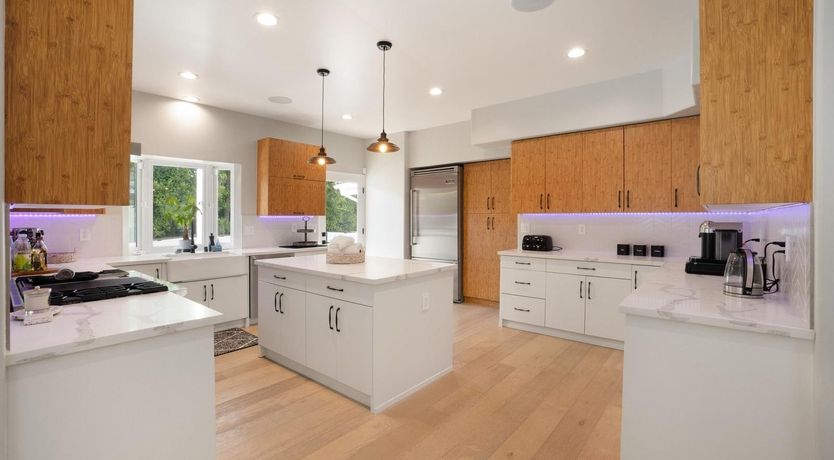 Photo of Urbane Jungle