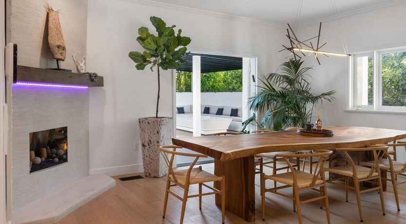 Photo of Urbane Jungle