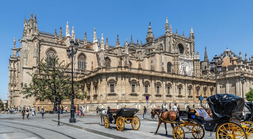 Photo of Finding Flores