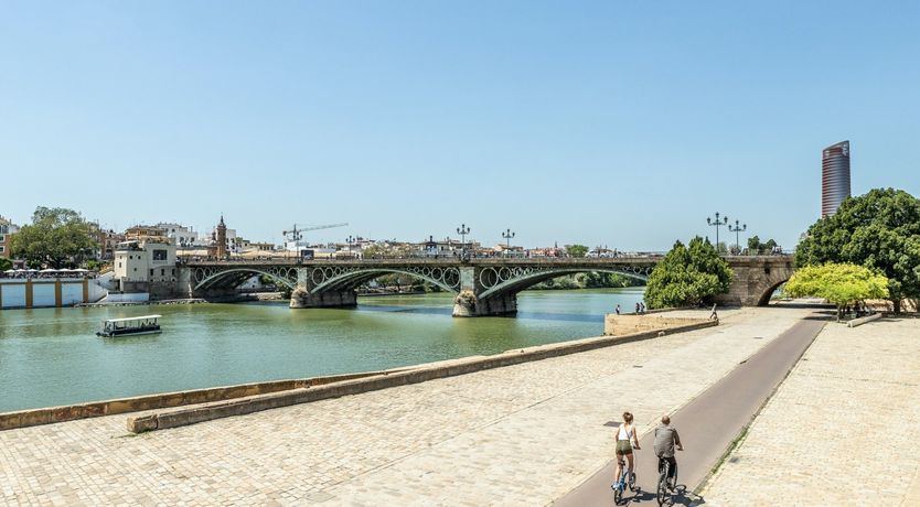 Photo of Finding Flores