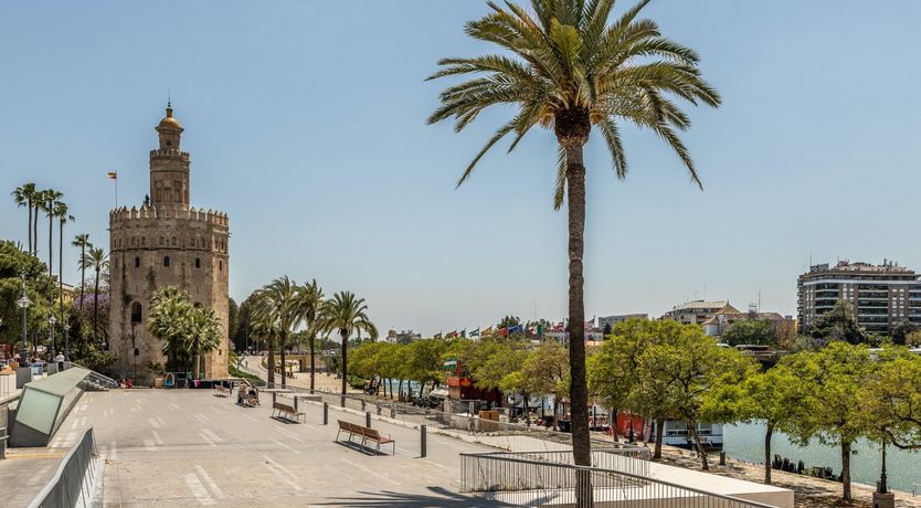 Photo of Finding Flores