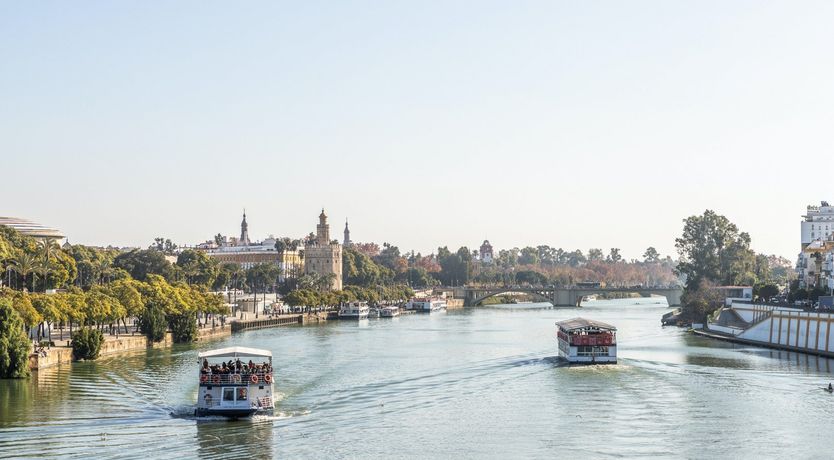 Photo of Finding Flores