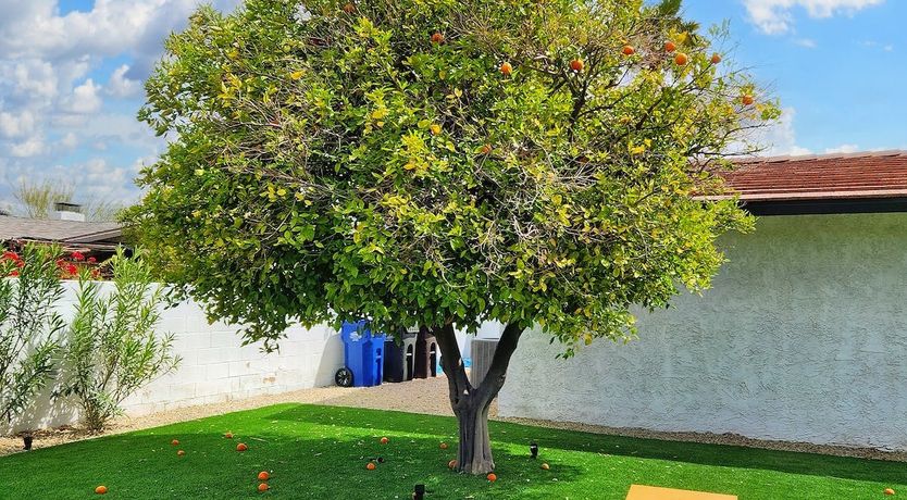 Photo of Lounging on Sunshine