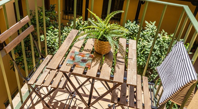 Photo of Marigolds in Bloom