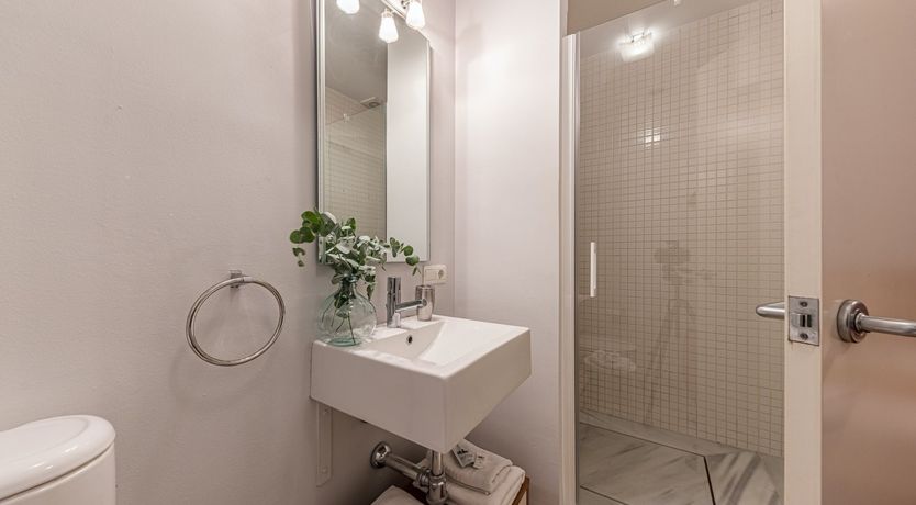 Photo of Marigolds in Bloom