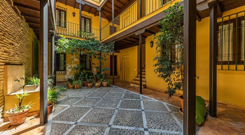 Photo of Marigolds in Bloom