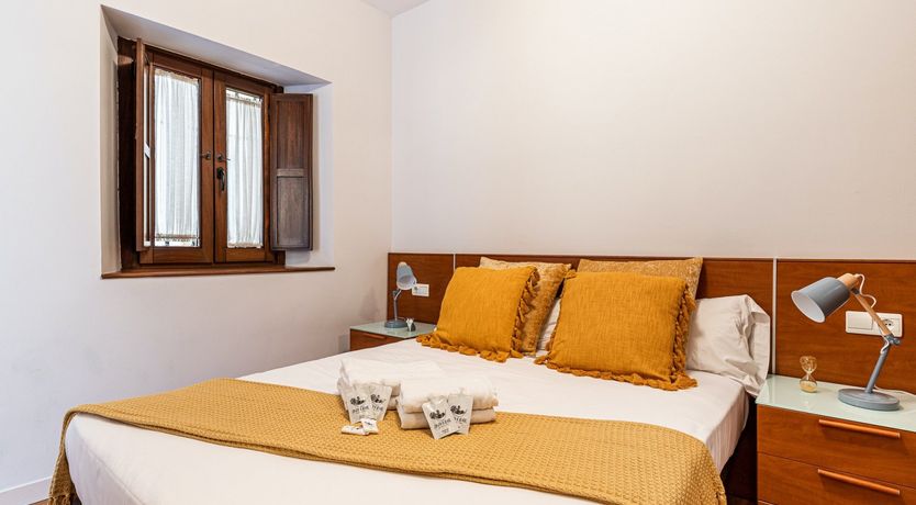 Photo of Marigolds in Bloom