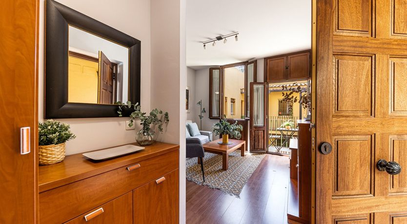 Photo of Marigolds in Bloom