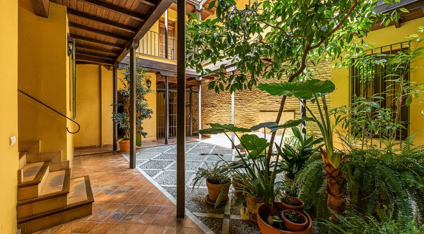 Photo of Marigolds in Bloom