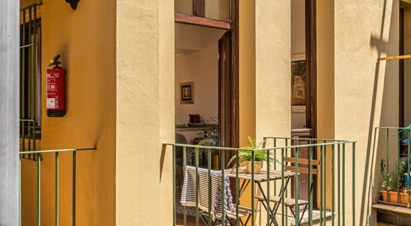 Photo of Marigolds in Bloom