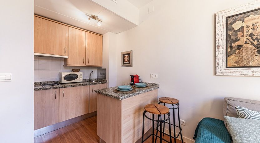 Photo of Marigolds in Bloom