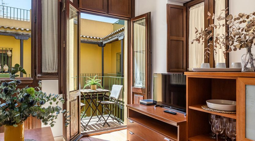 Photo of Marigolds in Bloom