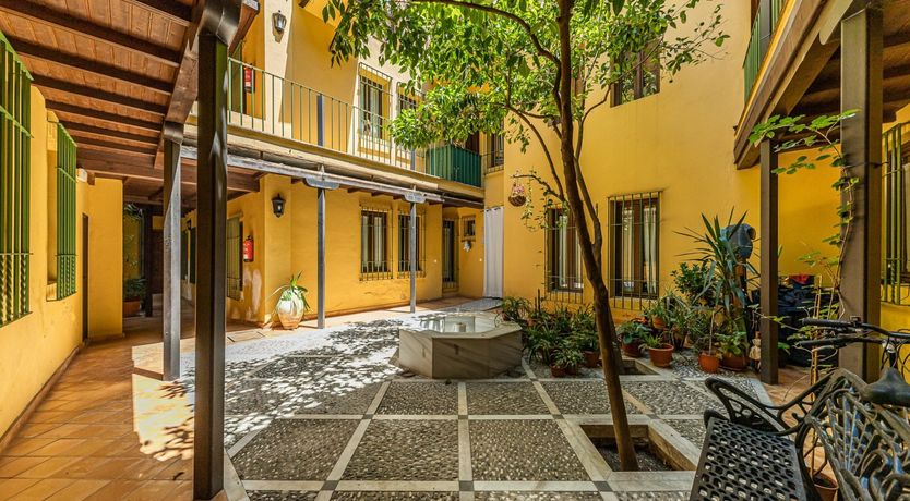 Photo of Marigolds in Bloom