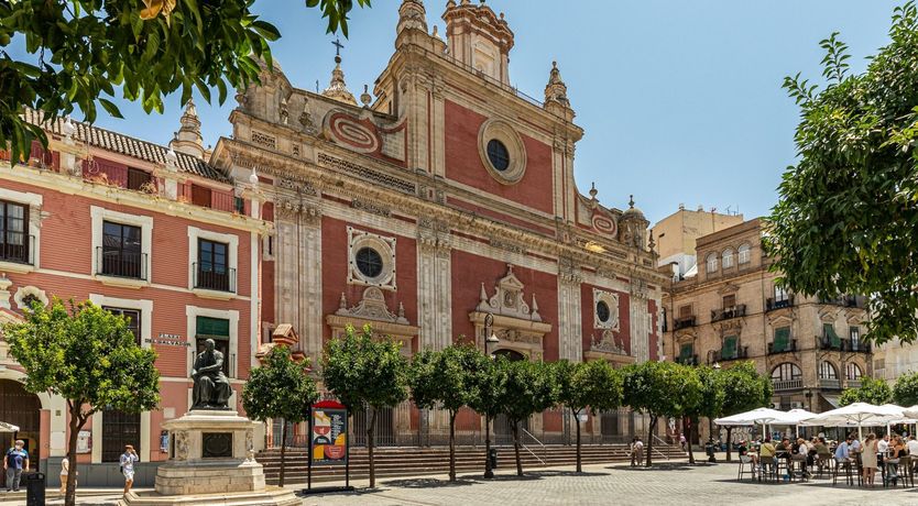Photo of Marigolds in Bloom