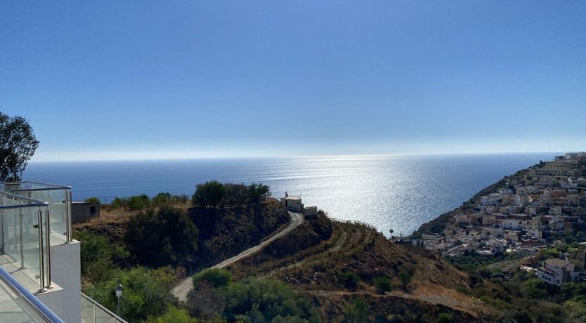 Photo of Hibiscus Petals