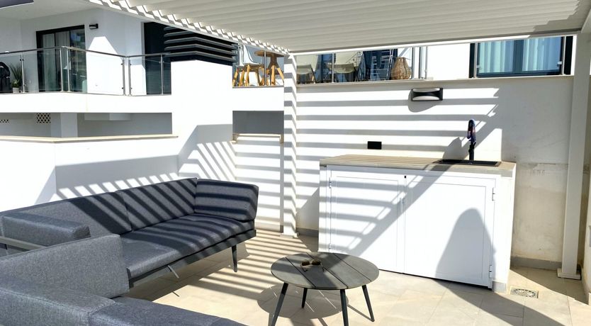 Photo of Hibiscus Petals