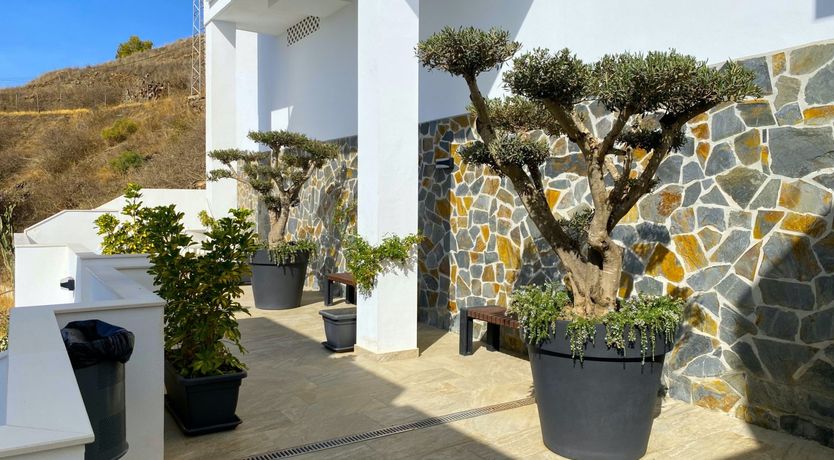 Photo of Hibiscus Petals