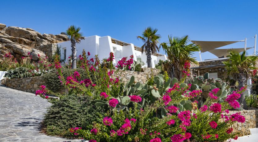 Photo of Ruby & Amethyst