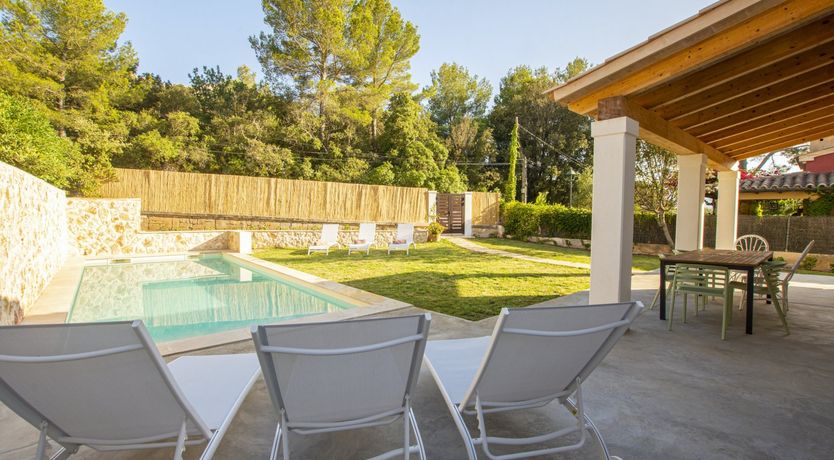 Photo of Scandi in the Sierras