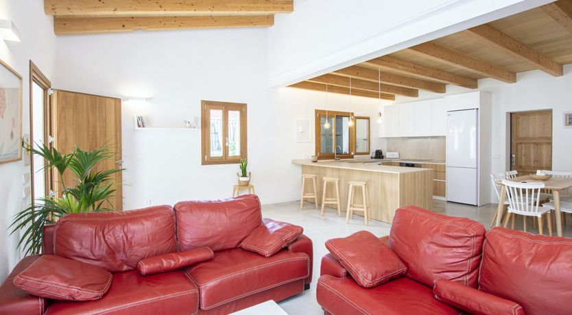 Photo of Scandi in the Sierras