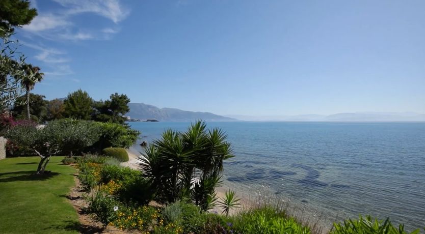 Photo of Beach Party