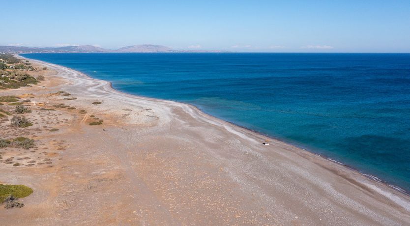 Photo of Coexistent Harmony