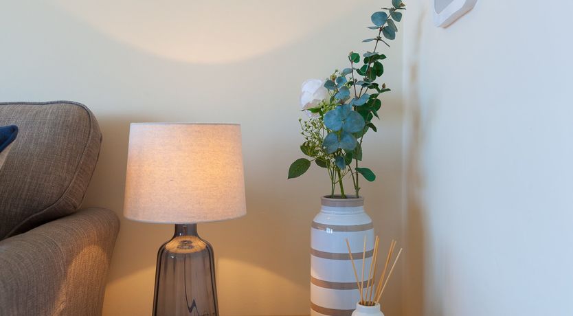 Photo of Dolphin Watch