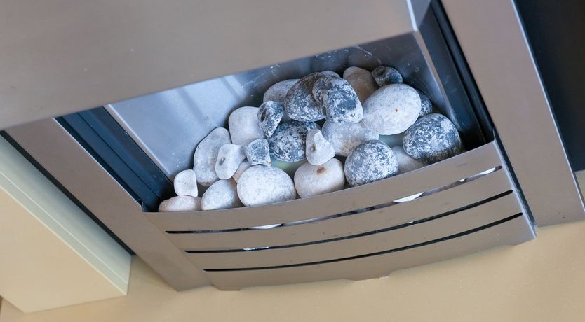 Photo of Dolphin Watch