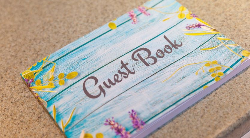 Photo of Dolphin Watch