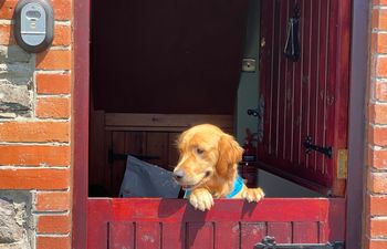 The Hawthorns Holiday Cottage