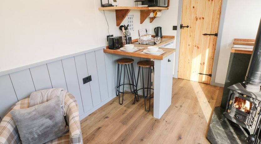 Photo of The Queen Bee