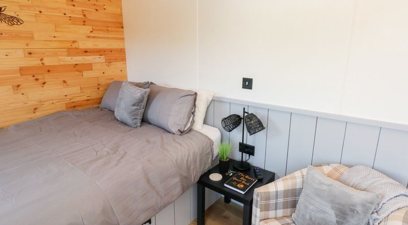 Photo of The Queen Bee