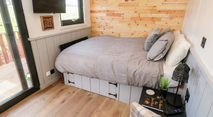 Photo of The Queen Bee