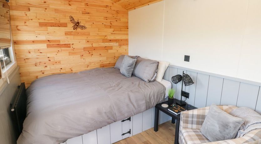 Photo of The Queen Bee