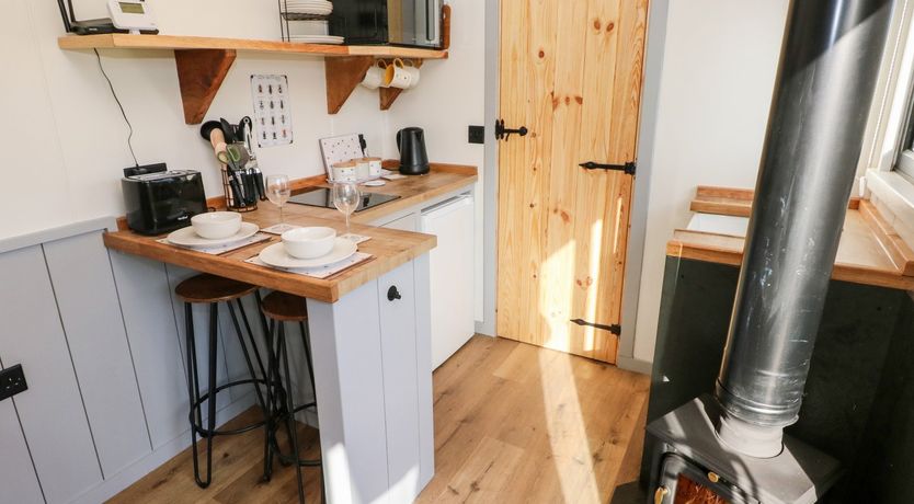 Photo of The Queen Bee